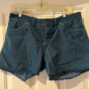 Carve Designs Blue Women's Shorts